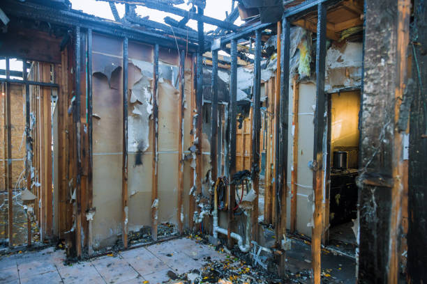 Professional Fire Damage Assessment technician working in Shenandoah, TX
